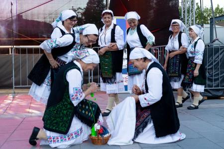 SPD Nikola Tesla Postojna, KUD Sevdah Ljubljana, FD Vipava in SKD Sava Hrastnik (9)